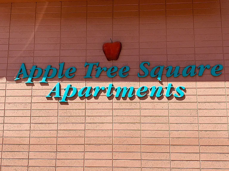 381 Cedar St #8 — Photo 7