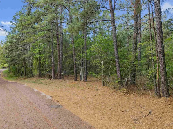 Fm 839 S, Laneville, TX 75667