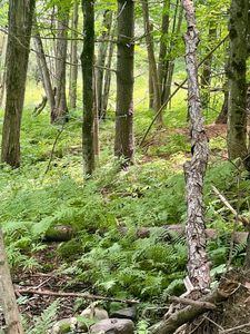 Lot 1-3 Hill Street, Montpelier, VT, 05602
