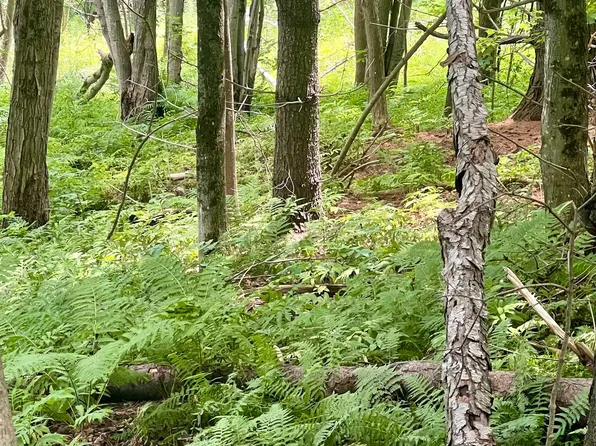 Lot 1-3 Hill Street, Montpelier, VT 05601
