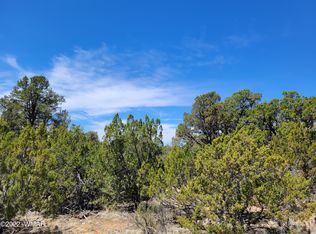 3242 Jeep Trl, Overgaard, AZ 85933