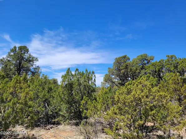 3242 Jeep Trl, Overgaard, AZ 85933