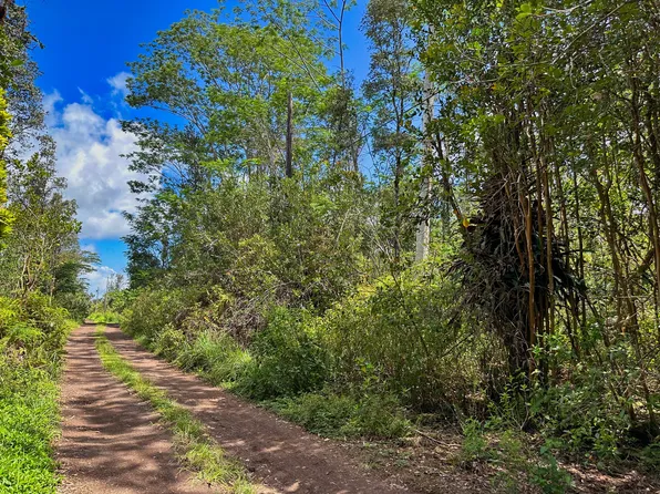 Silversword Ct Lot 19, Kurtistown, HI 96760