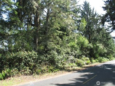 38385 Stackpole Road, Oysterville, WA, 98641