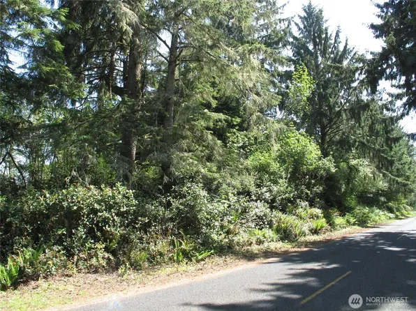 38385 Stackpole Road, Oysterville, WA 98641