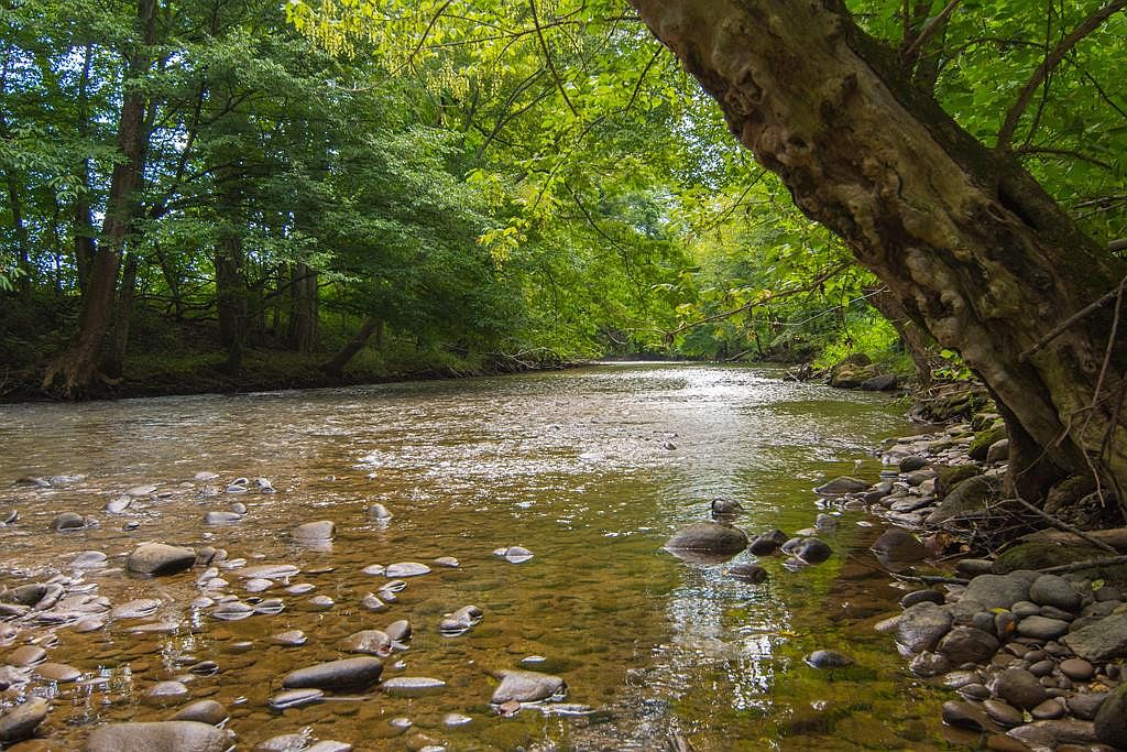 Martin Way, Newport, TN 37821 Zillow