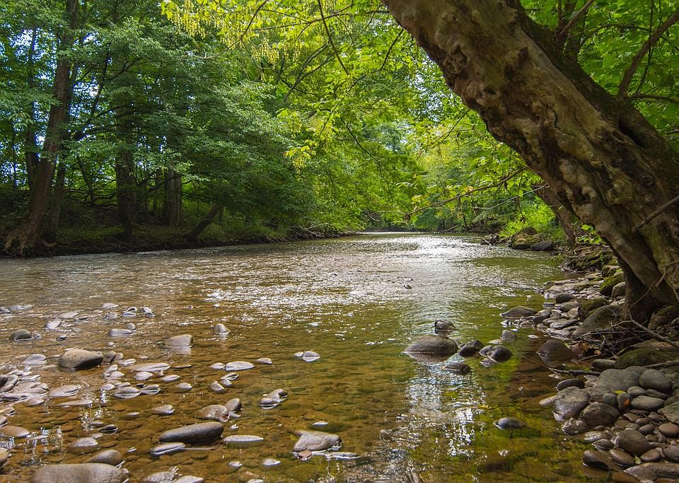 1st image of Martin Way