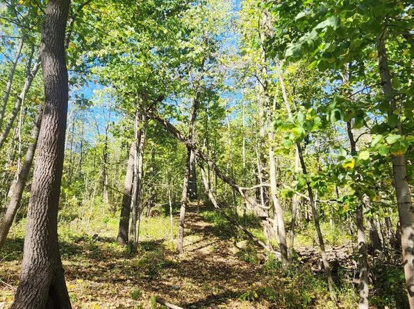 Lt0 312TH AVENUE, Kansasville, WI 53139