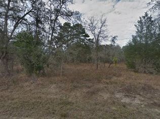 12369 Piping Plover Ave, Weeki Wachee, FL 34614