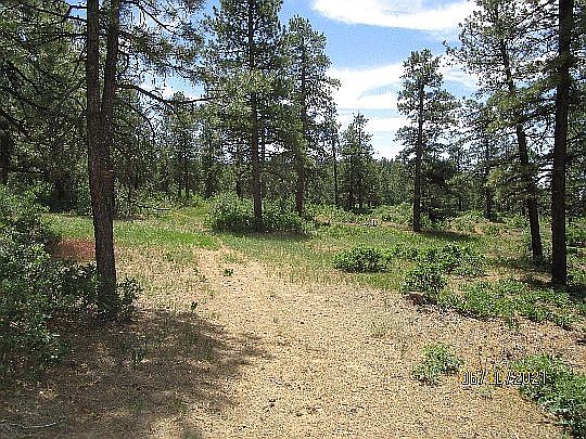 2nd image of 0 Beaver Creek Dr Unit 1 Lot 6