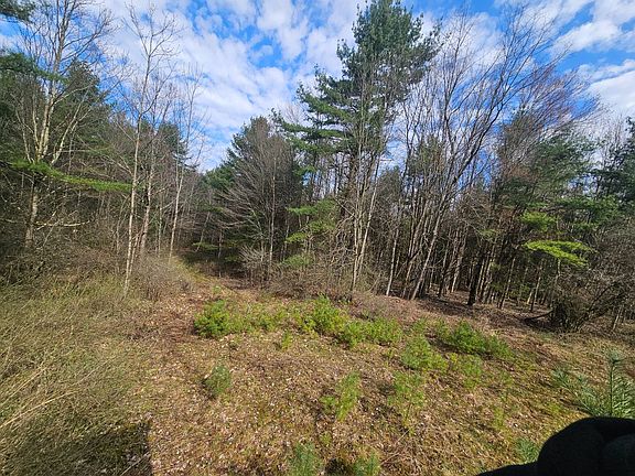 2nd image of 0WP Furman Rd