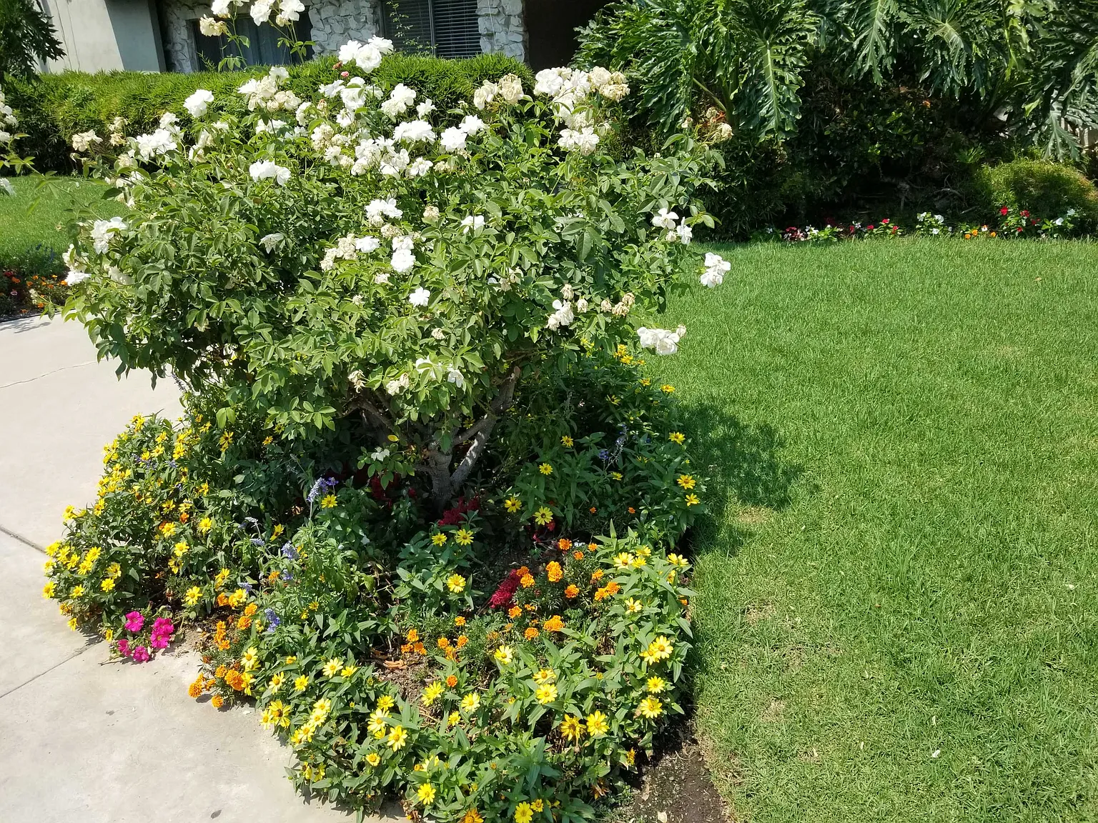 1 bed, $2,295 — Photo 2