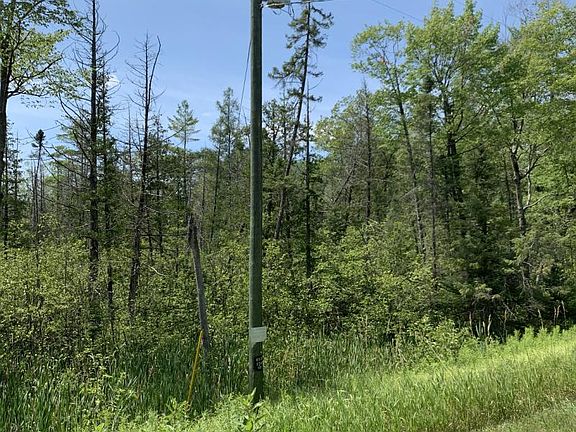 3rd image of McCollum Lake Rd