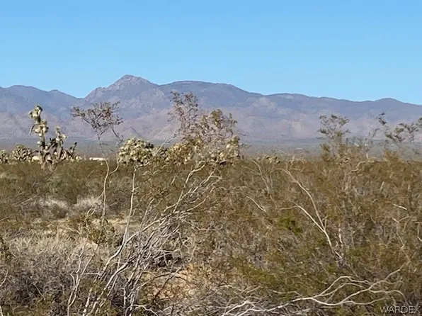 10 E Mesquite Dr, Yucca, AZ 86438