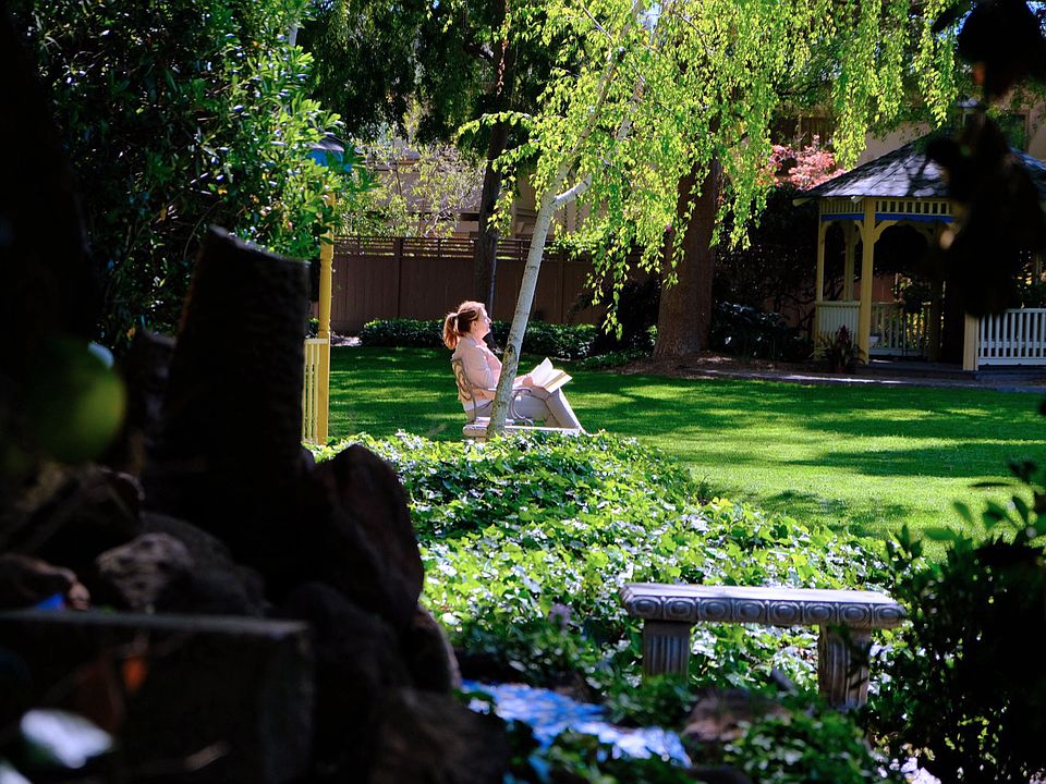 Reading in the beautiful, large, grassy courtyard lined by tall shade trees.