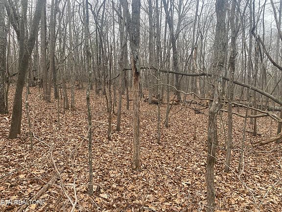 5th image of 114 Folkstone Rd