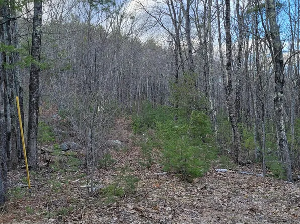 Lot 44-1 South Waterboro Road, Lyman, ME 04002