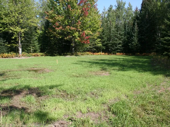 Jacks Landing Rd, Hillman, MI 49746