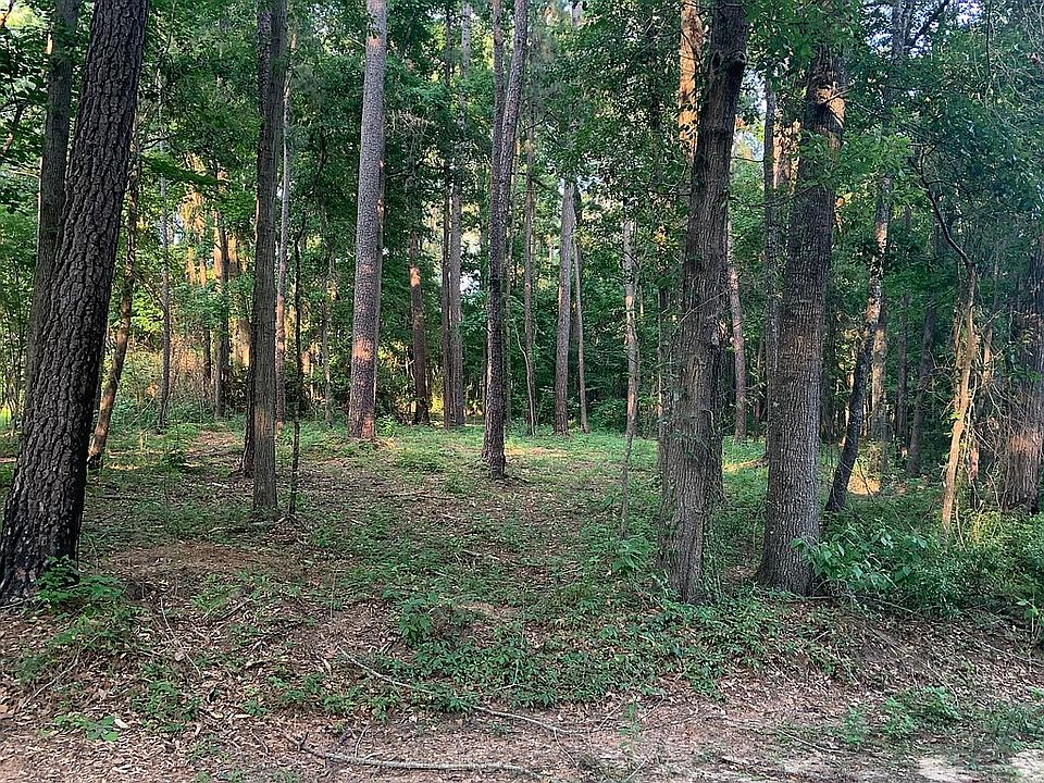 0.6 acre lot
