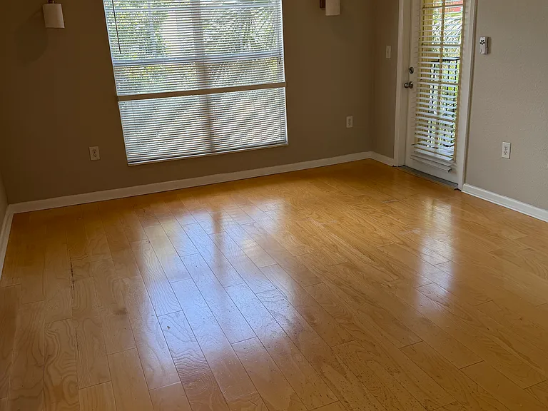 2421 W Horatio St #830 — Photo 4