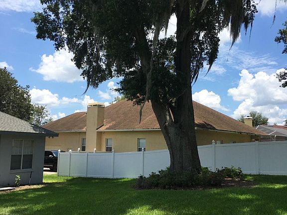 beautiful oak tree lots of shade