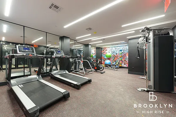 Rented by Brooklyn High Rise LLC | media 34