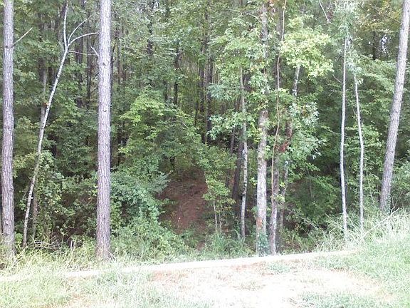 There is a path through the wooded backyard.