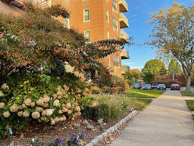 1st image of 23-35 Bell Blvd APT 2A