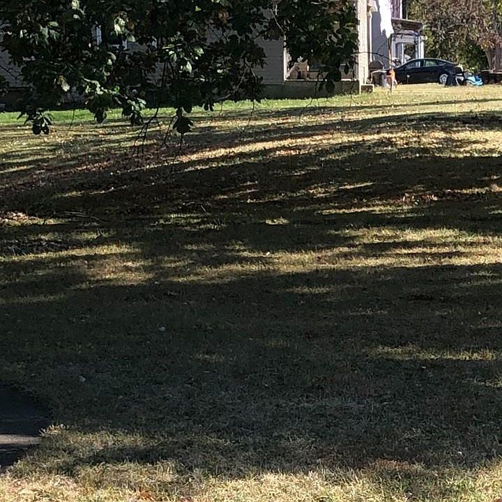 2nd image of 1117 Bank St