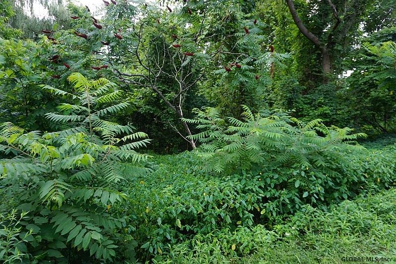 3rd image of ENDERS Avenue