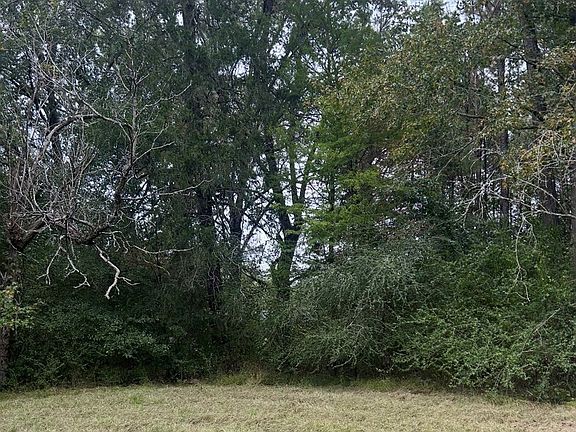 2nd image of 0 State Highway 1545