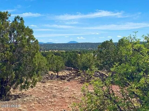 Show Low Pines Unit 9 Lot 159 -- #159, Concho, AZ 85924