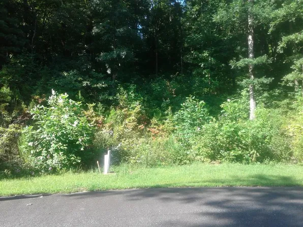 0 Galax Trl, Chatsworth, GA 30705