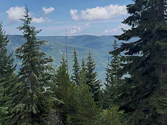 3rd image of 160 Acs Jeru Creek Rd #293