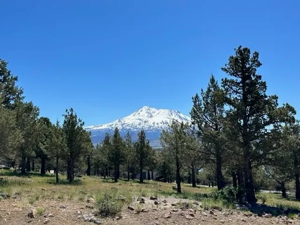 9-2/93-94 99 Mountain Wood, Weed, CA 96094