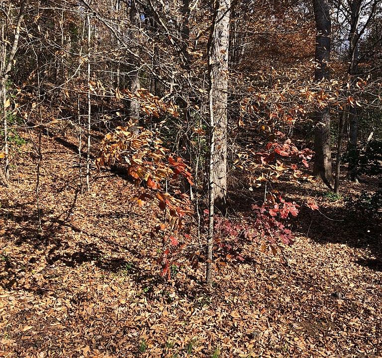 1st image of 26 Shady Oaks Dr Lot 26