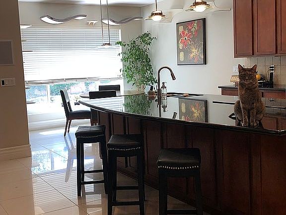 Kitchen/breakfast nook