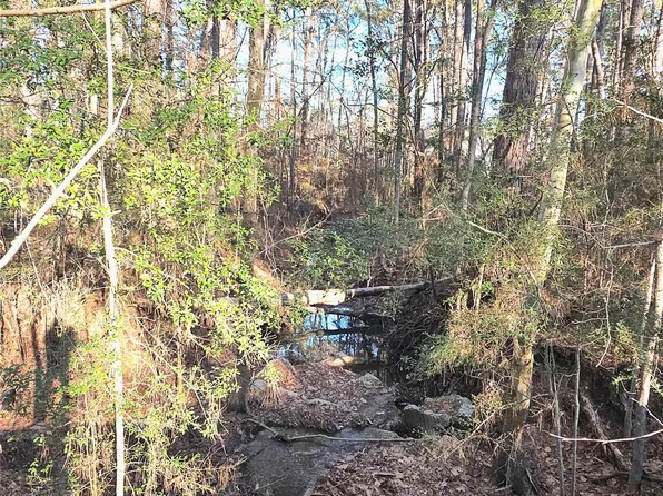 Governor Wood Dr Lot 53, Pointblank, TX 77364