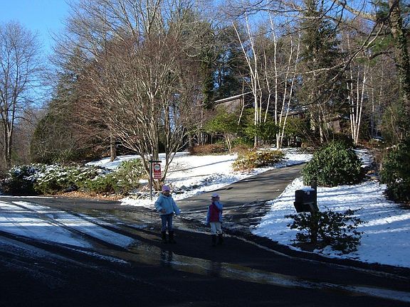 Driveway view