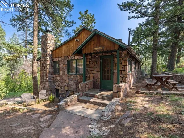 10145 Wild Wood Rd, Cascade, CO 80809