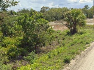 425 Fawnwood Ave LOT 2, Lake Placid, FL 33852