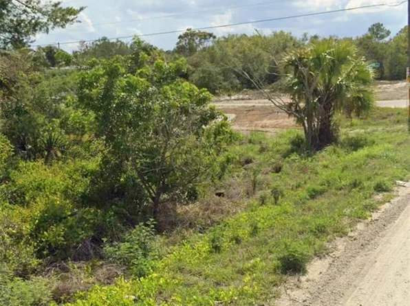 425 Fawnwood Ave Lot 2, Lake Placid, FL 33852