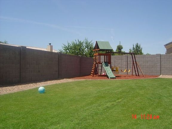 Lush Back Yard