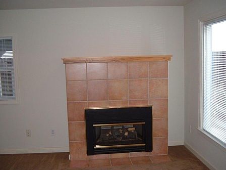 fireplace/gas