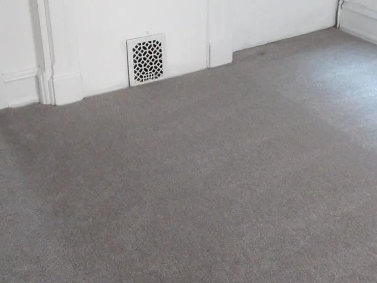 Stainmaster carpet