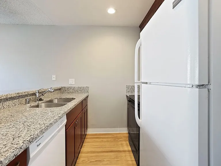 Elevate Apartments — Photo 6