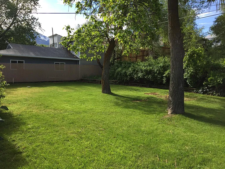 Back yard