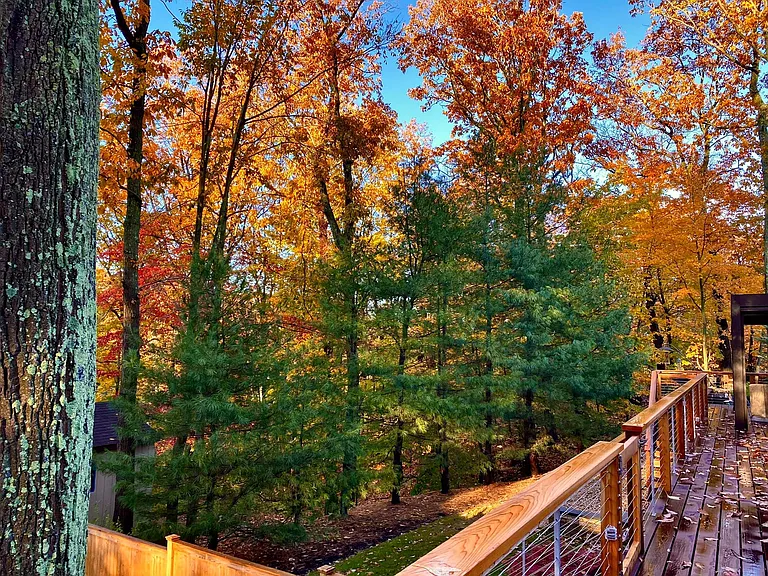 Fox Hollow Ridings Ct — Photo 13