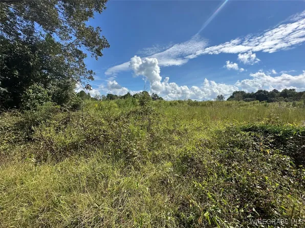 0 County Road 200, Jack, AL 36346