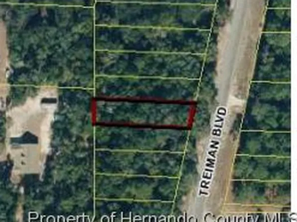 Treiman Blvd, Webster, FL 33597